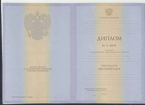 Диплом 2013 год Россия